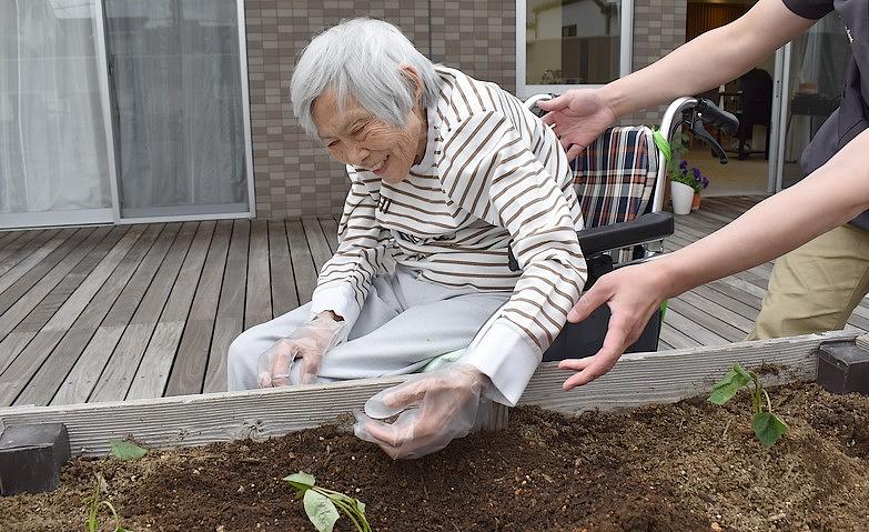 さつまいも植え
