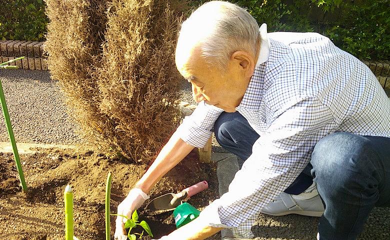 夏に向けて苗植え			