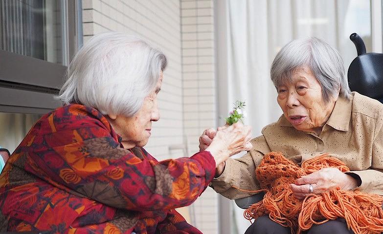 贈り合い