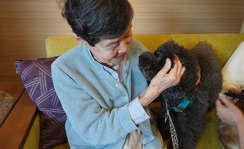 思い出とともに～ドッグセラピー～