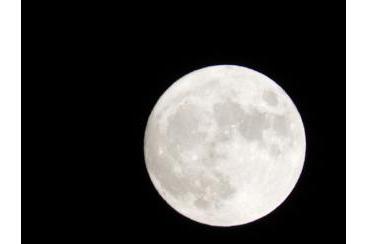 満月の夜画像1