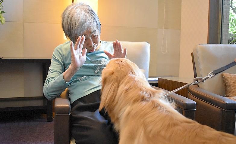 お待ちかねの日～犬とのふれあい～