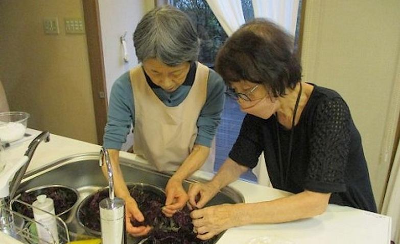 鮮やかなしそシロップ作り