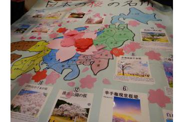 日本の桜の名所作り画像6