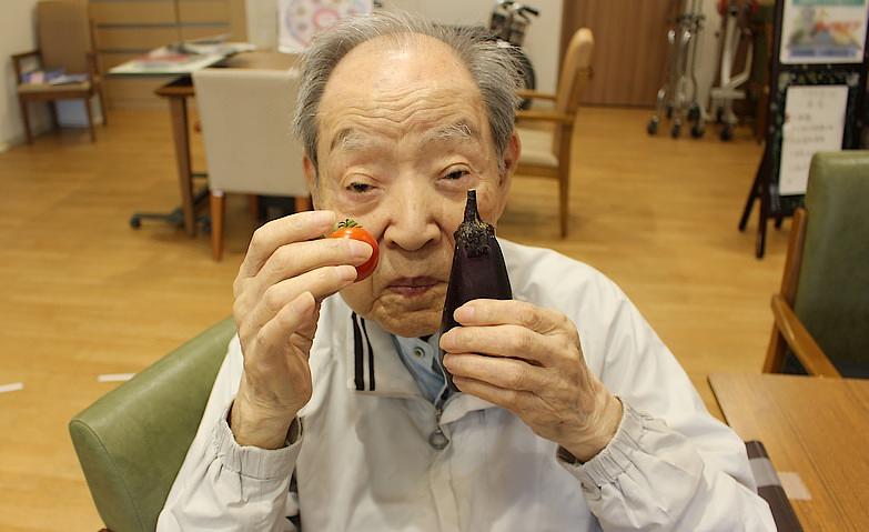 野菜の収穫をしました