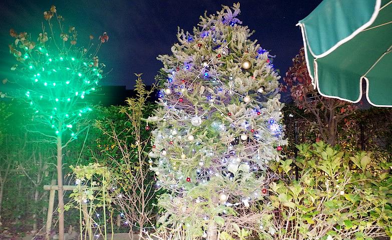 庭に輝くクリスマスツリー			