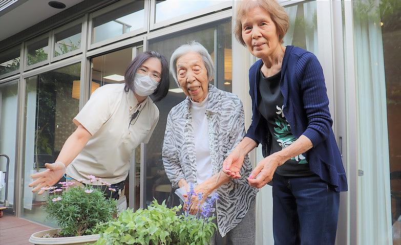 中庭の園芸