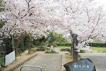 創造の森公園