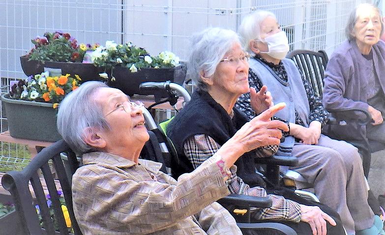 「立派な花が咲いてるね！」