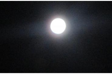 お月見「南山バー」画像5