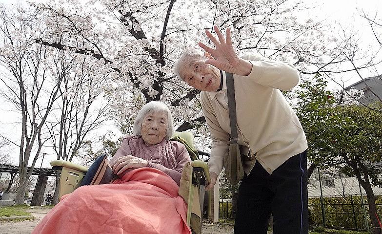 ご夫婦一緒にお花見へ