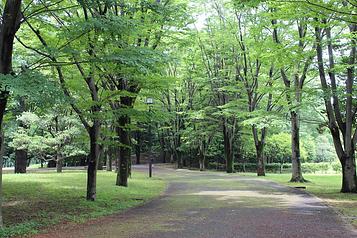 府中の森公園