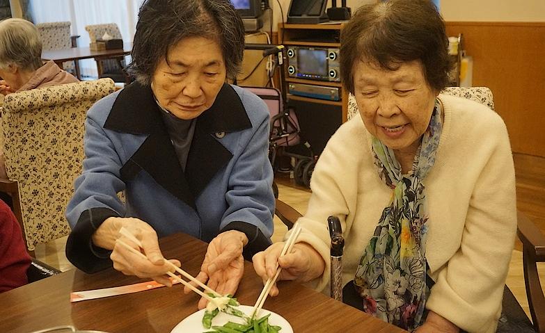 屋上菜園～さやえんどう実食～