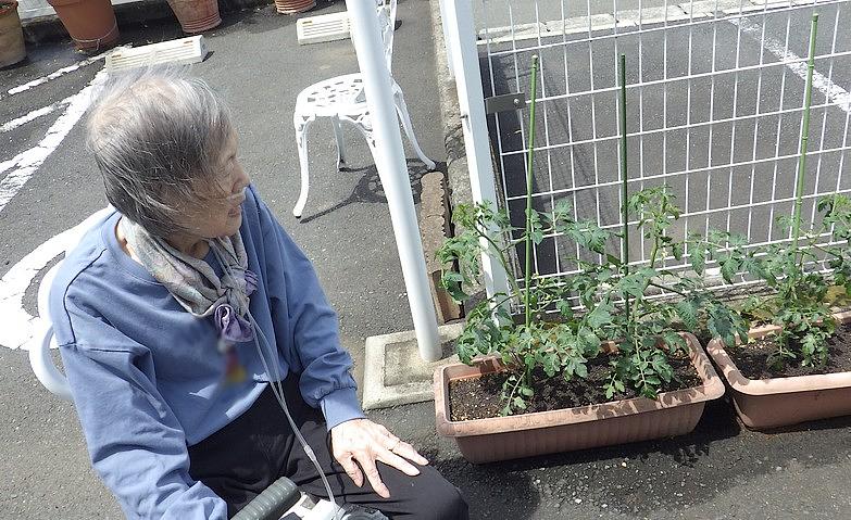 今後の楽しみ