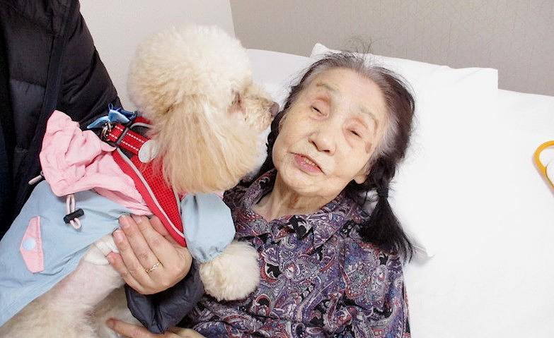 愛犬と再会