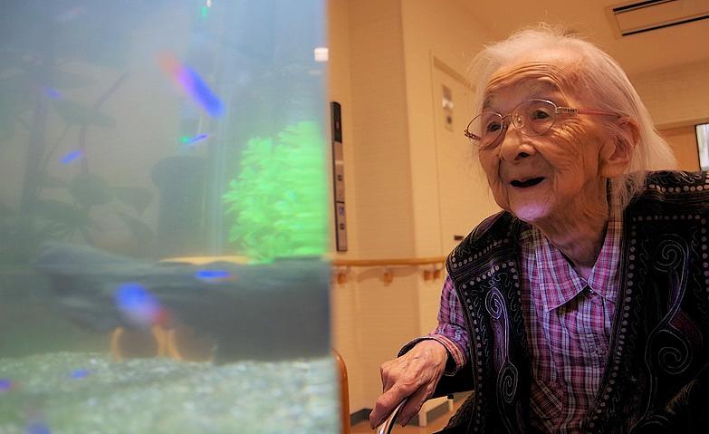 「きれいだねぇ」