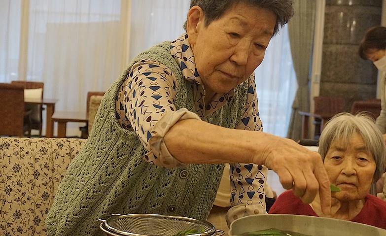 屋上菜園～さやえんどう収穫～