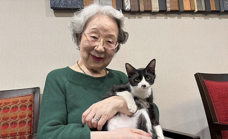 子猫ちゃんがホームにやってきた！	