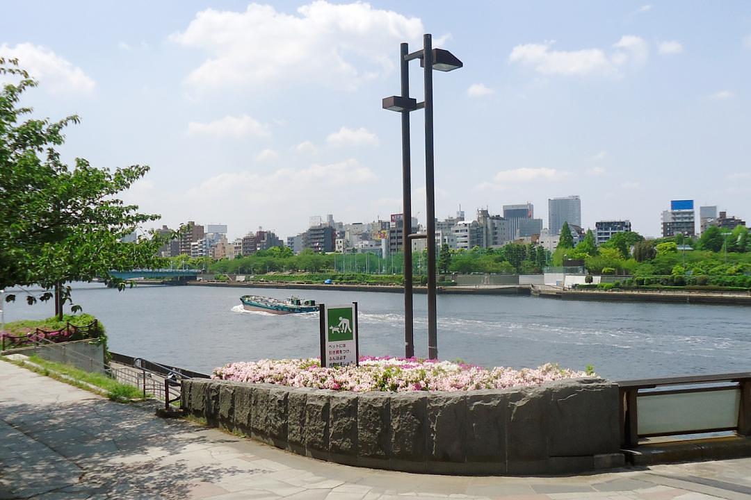 墨田川(桜橋)