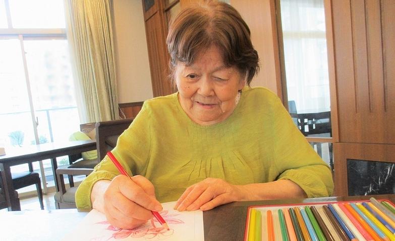 真っ赤な「サザンカ」の花が咲きます！