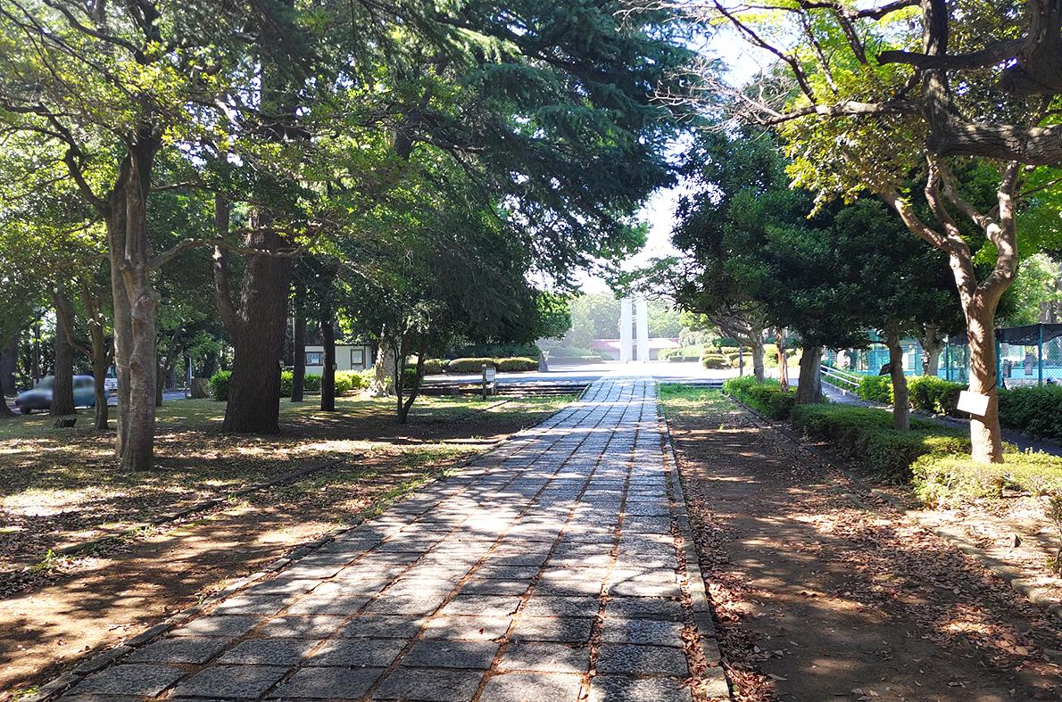 三ツ沢公園