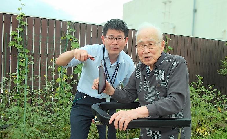 屋上菜園で大収穫！立派なナスが実りました