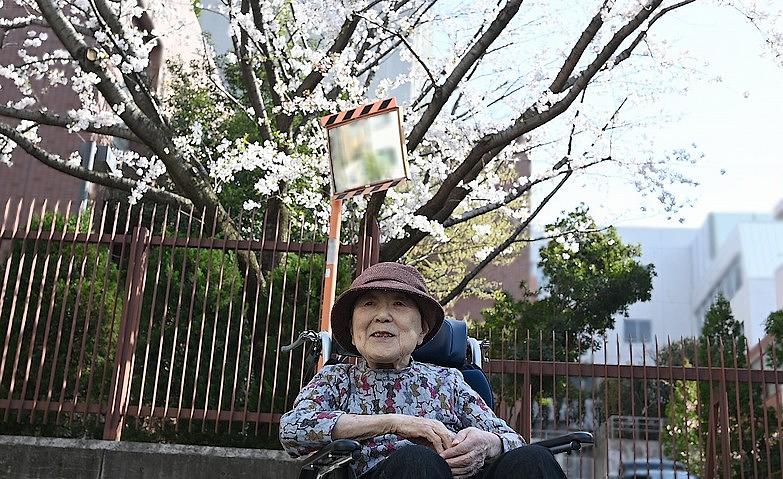 お花見