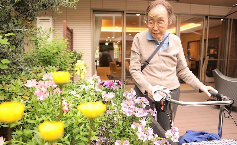 お花を楽しむ