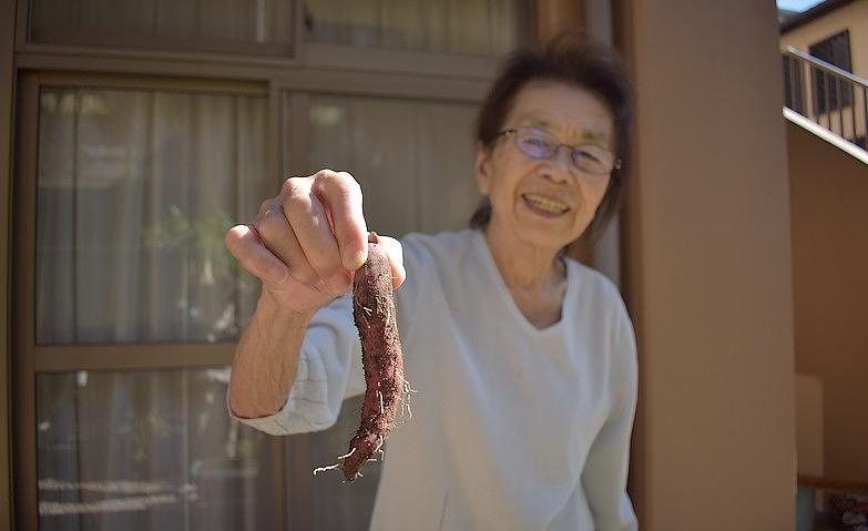 お庭でできたお芋です！