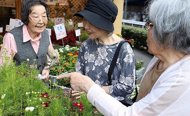 園芸アクティビティの準備