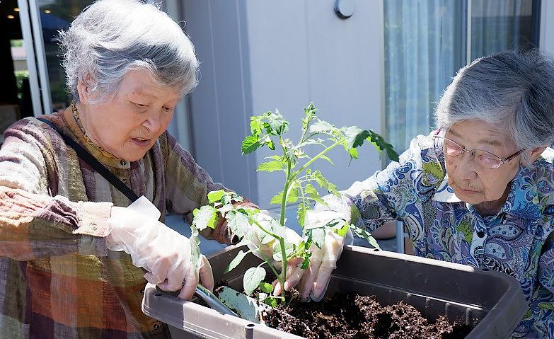 園芸サークル～プチトマト苗植え～			