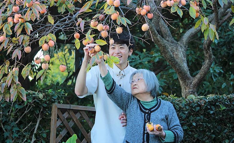 渋柿も笑顔に変わる、収穫の秋