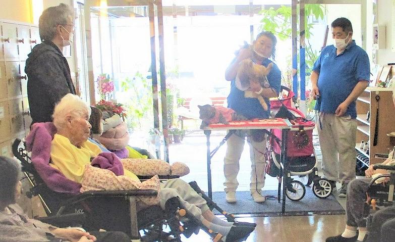 動物とのふれあいデー			