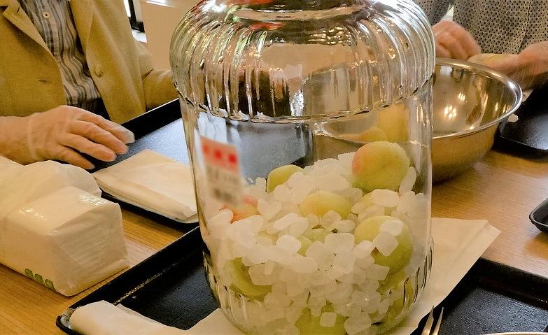 収穫したスモモでジュースづくり
