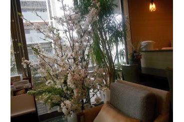桜カフェ画像1