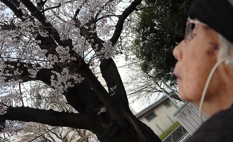 「とてもすてき」