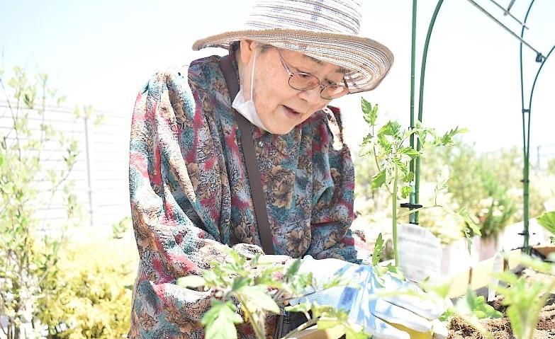 夏野菜～苗を植えました！～