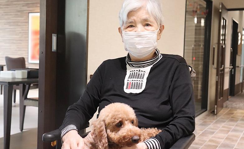 10月の犬とのふれあい