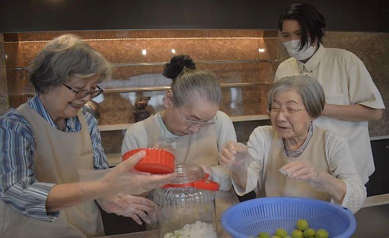 梅シロップ作成中！