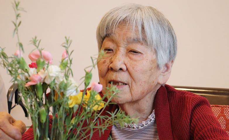 彩り豊かな花でお部屋に明るさを