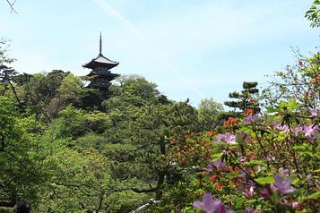 三渓園（遠景）