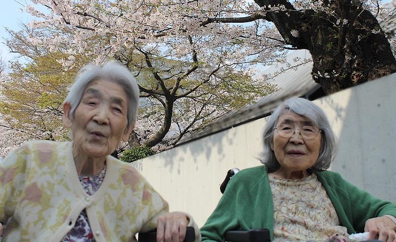 桜を見る会