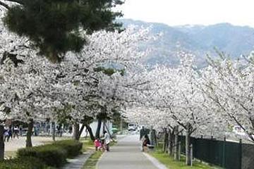 石屋川公園