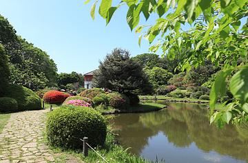 小石川植物園