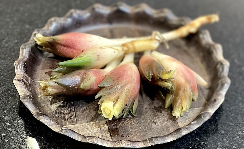 屋上庭園～朝採れミョウガ～