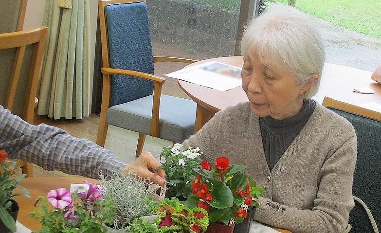 今週の園芸クラブ