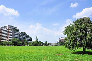 桃井原っぱ公園