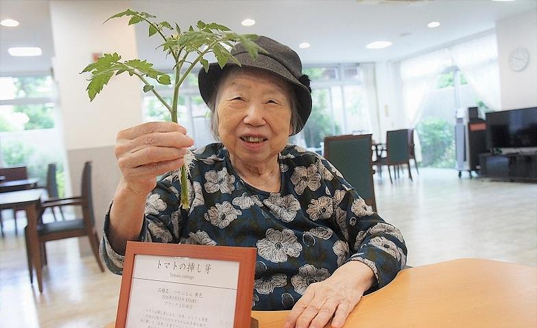 トマトの脇芽が見せてくれた成長のよろこび