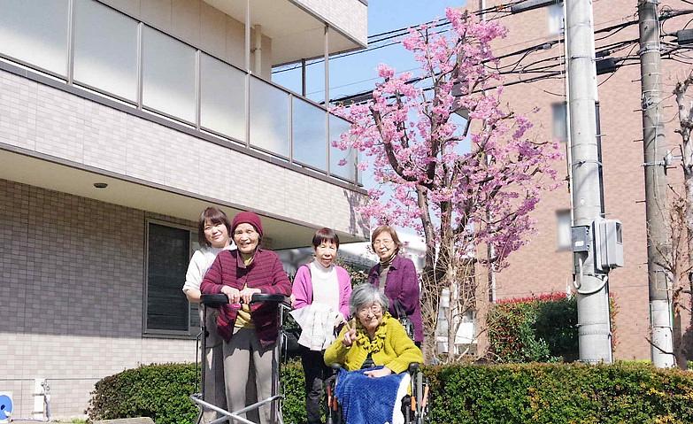 「桜が咲いてるって！」