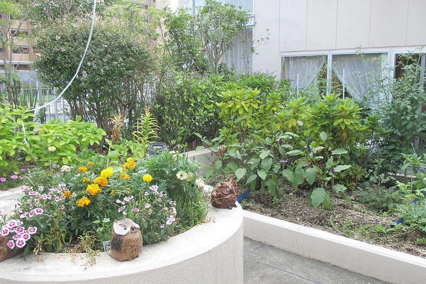 4F 屋上庭園